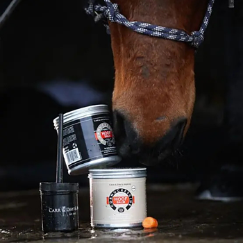 CARR & DAY & MARTIN CORNUCRESCINE CLEAR HOOF BALM  