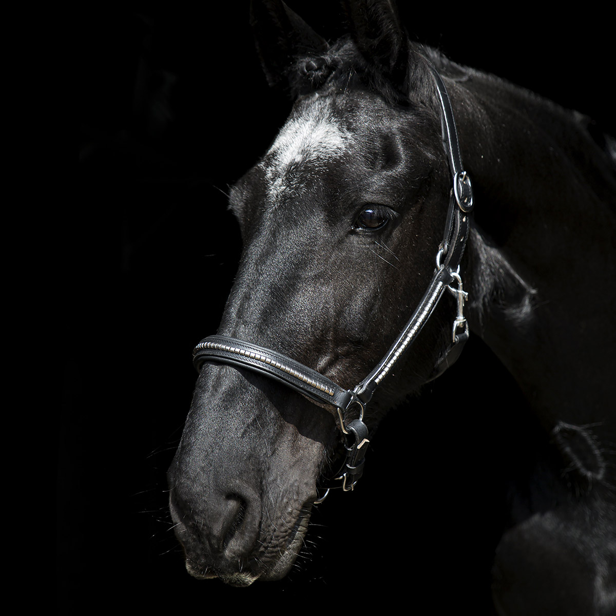 SWEDISH COLLECTION  CLINCHER LÄDERGRIMMA - 9