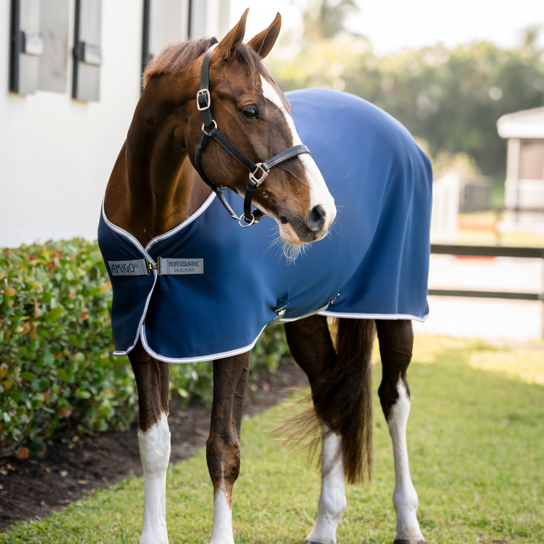 AMIGO JERSEY COOLER PONY - 3