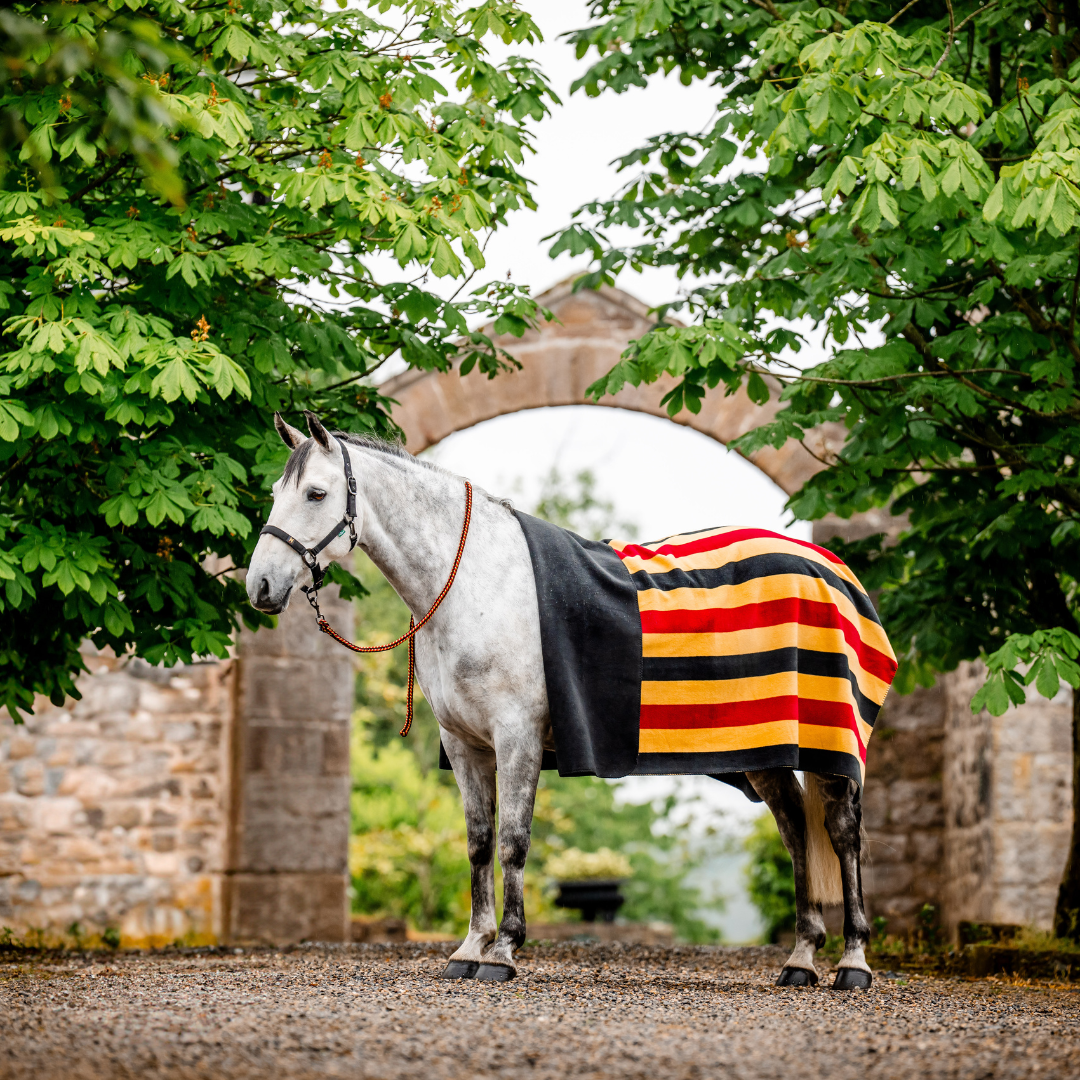 HORSEWARE NEWMARKET FLEECE  PONY - 2