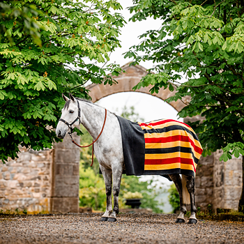 HORSEWARE NEWMARKET FLEECE  PONY