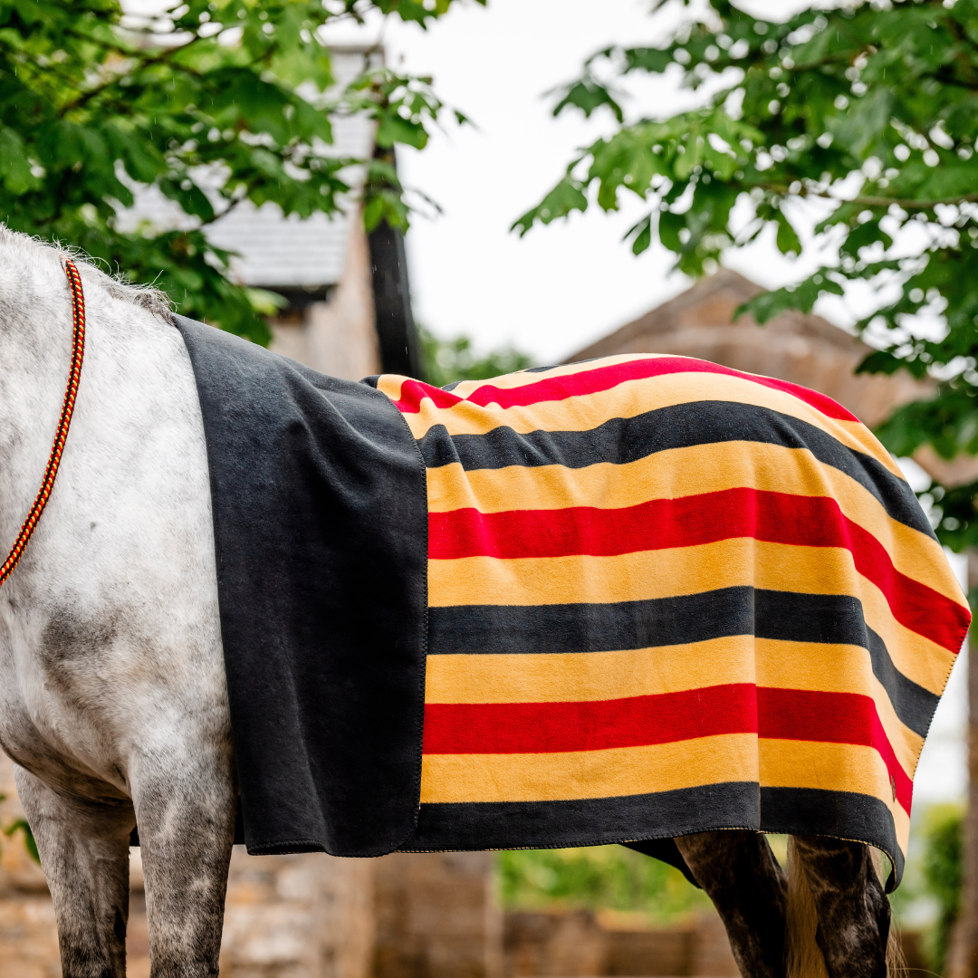 HORSEWARE NEWMARKET FLEECE  PONY - 3