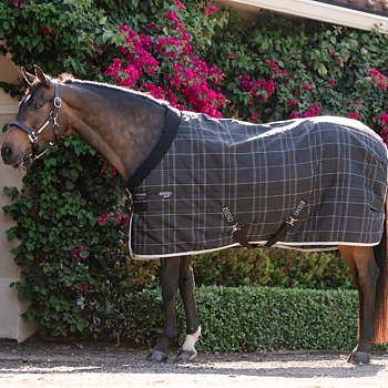 RHINO STABLE PONY 100GR