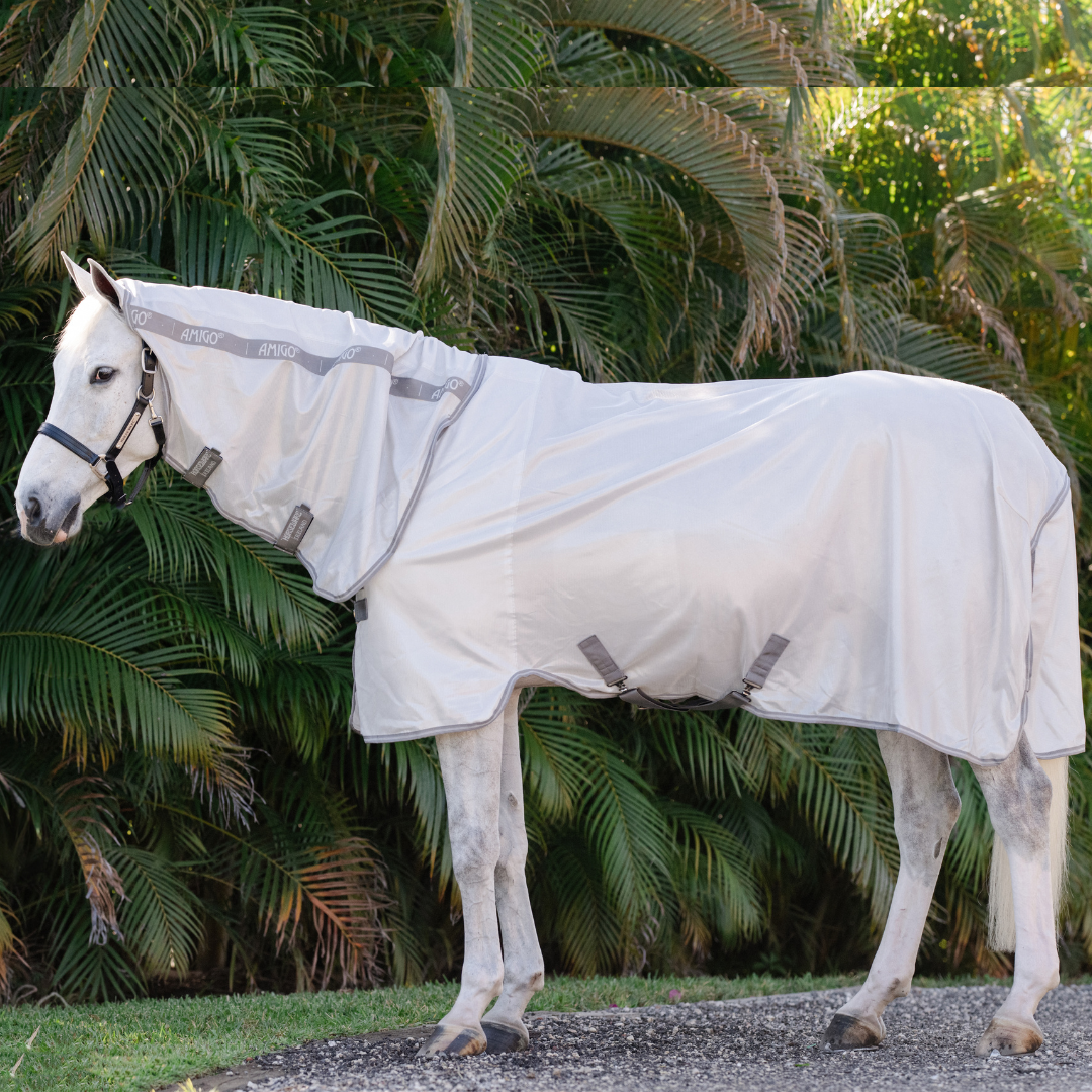 AMIGO INTEGRATED FLY SHEET    - 5