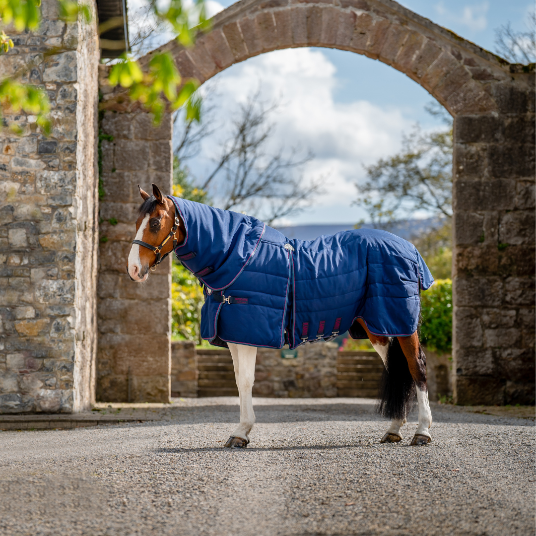 RAMBO OPTIMO STABLE RUG 200gr PLUS - 3