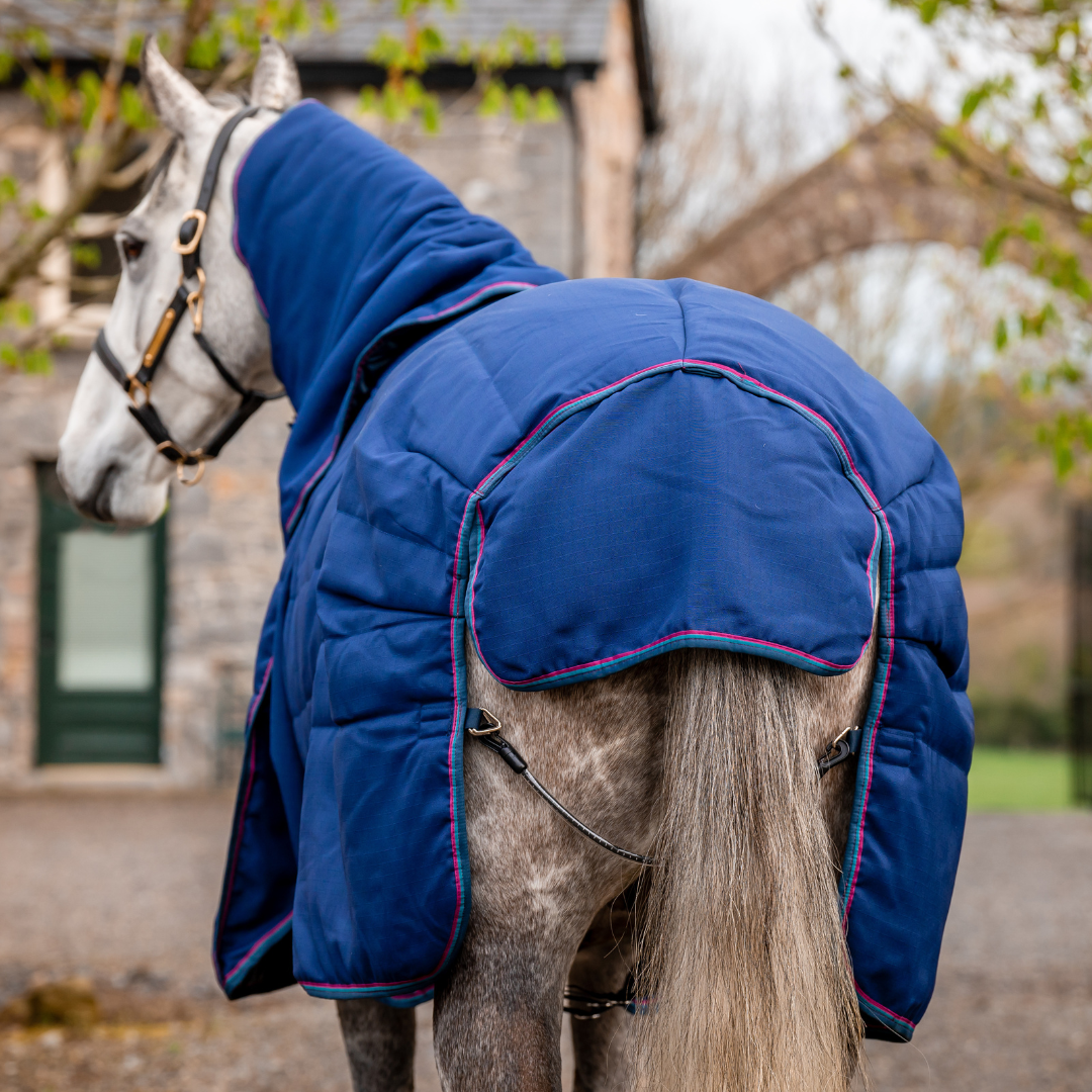 RAMBO OPTIMO STABLE RUG 200gr PLUS - 5