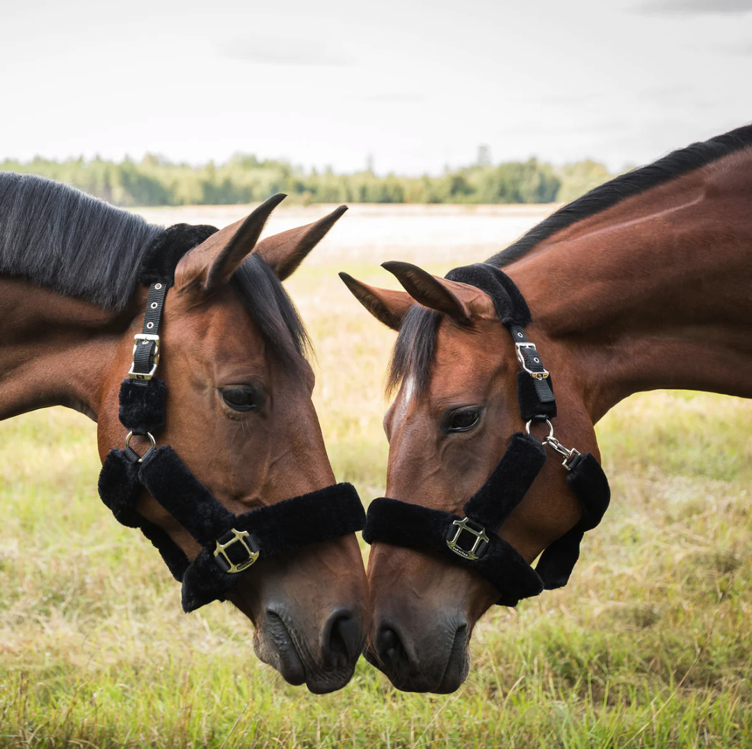 BACK ON TRACK FLEECE HEADCOLLAR AUDREY - 2