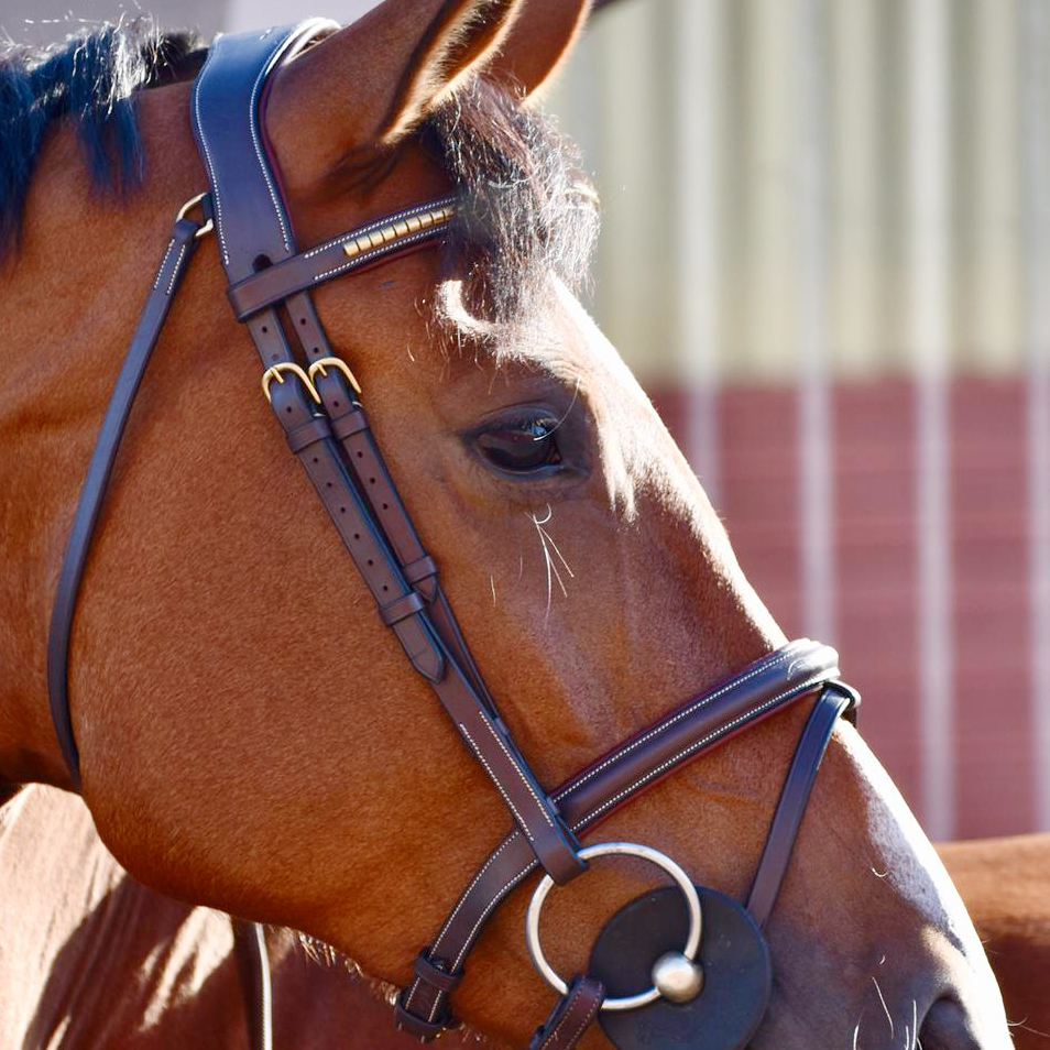 DYON WORKING BRIDLE CLINCHER - 3