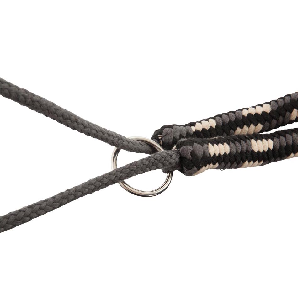 BR LUNGING AID LONGERINGSHJÄLP - 3