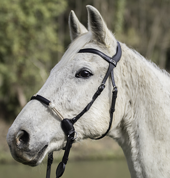 DYON BITLESS BRIDLE
