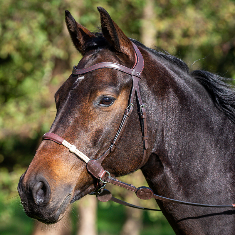 DYON BITLESS BRIDLE - Strömsbergsgård