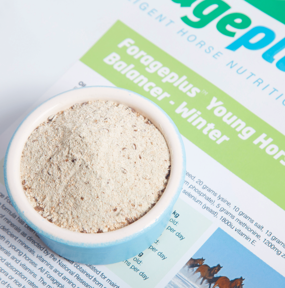FORAGEPLUS YOUNG HORSE BALANCER WINTER Strömsbergsgård