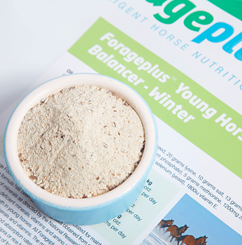 FORAGEPLUS YOUNG HORSE BALANCER | WINTER