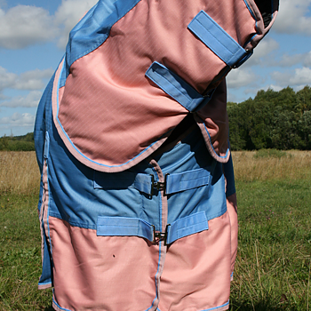 SWEDISH COLLECTION (LIPPO) 100GR PONY BLANKET 600D WITH REMOVABLE NECK