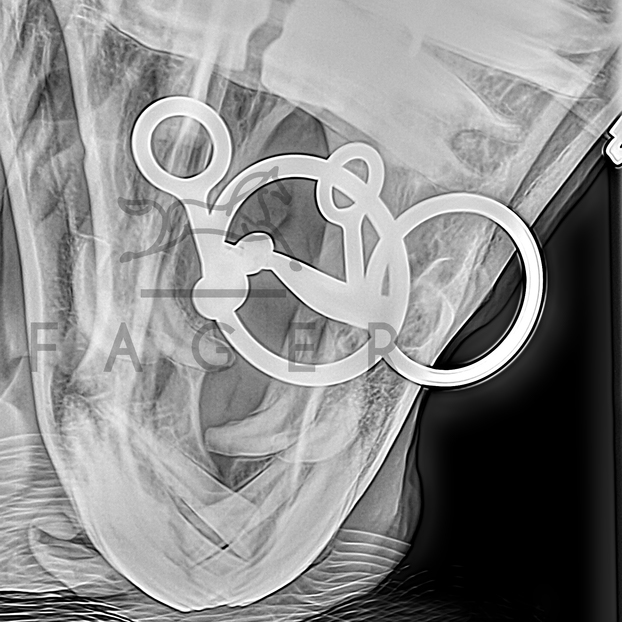 FAGER CARL TITAN LOOSE RINGS - 5
