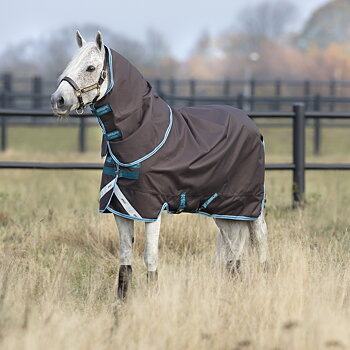 AMIGO BRAVO 12 PLUS PONY 0GR UTGÅENDE
