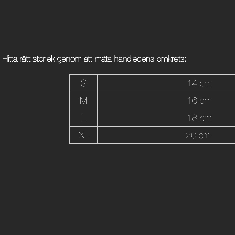 BACK ON TRACK HUMAN SKYDD HANDLED - 4
