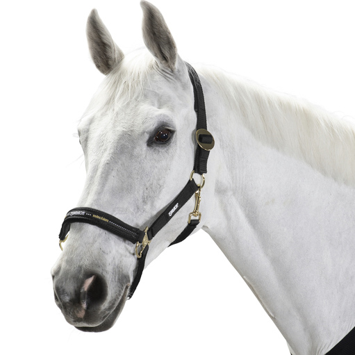 ESKADRON HEADCOLLAR SLIDING BUCKLE - 2