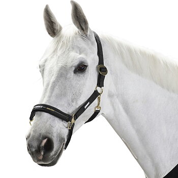 ESKADRON HEADCOLLAR SLIDING BUCKLE