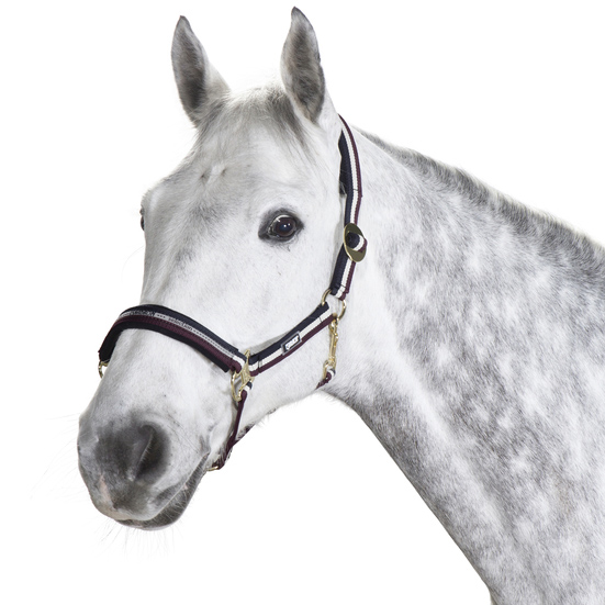 ESKADRON HEADCOLLAR SLIDING BUCKLE - 3