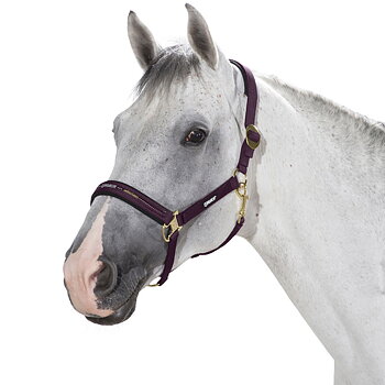 ESKADRON HEADCOLLAR SLIDING BUCKLE