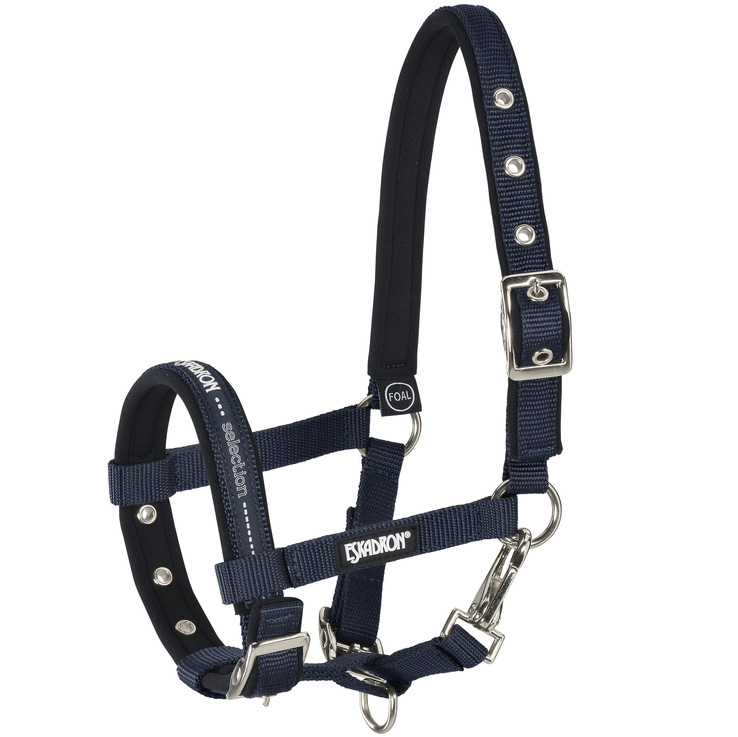 ESKADRON HEADCOLLAR FOAL - 2