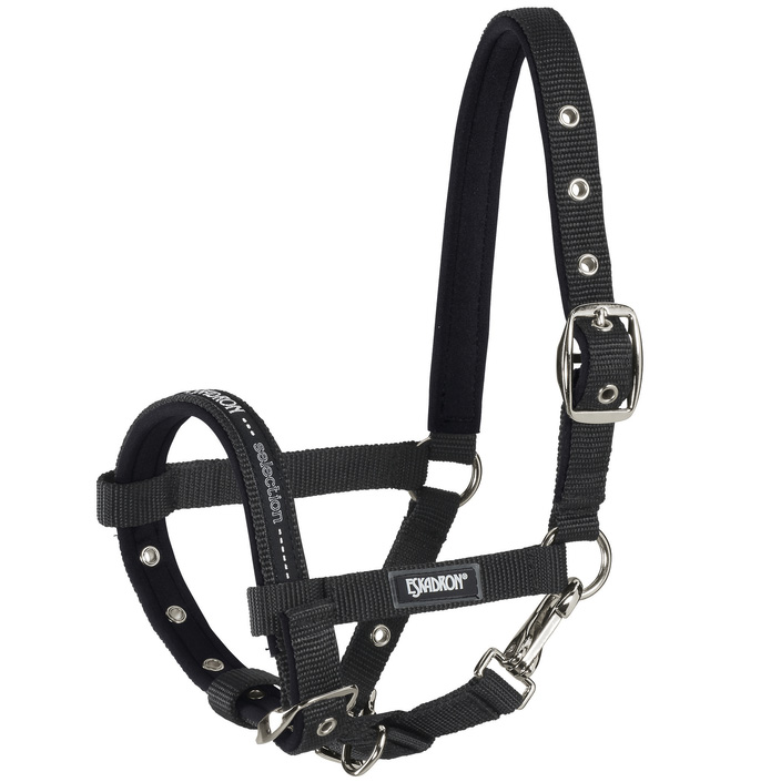 ESKADRON HEADCOLLAR FOAL - 3