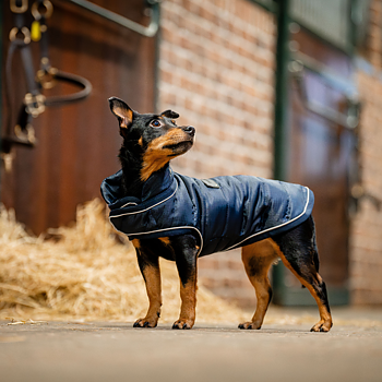 HORSEWARE SIGNATURE PADDED DOG RUG 200gr