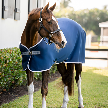 AMIGO JERSEY COOLER