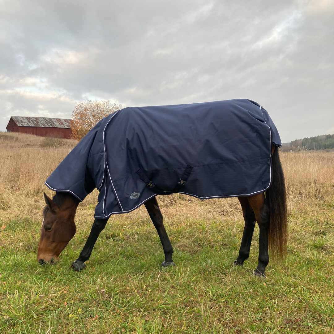 SWEDISH COLLECTION (LIPPO) 300GR OUTDOOR BLANKET 2100D WITH REMOVABLE NECK - 2
