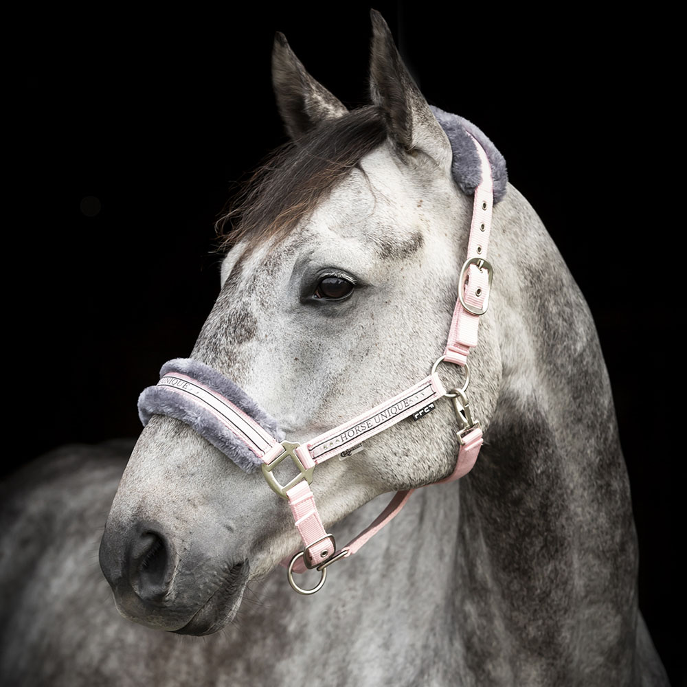 HORSE UNIQUE GRIMMA - 7