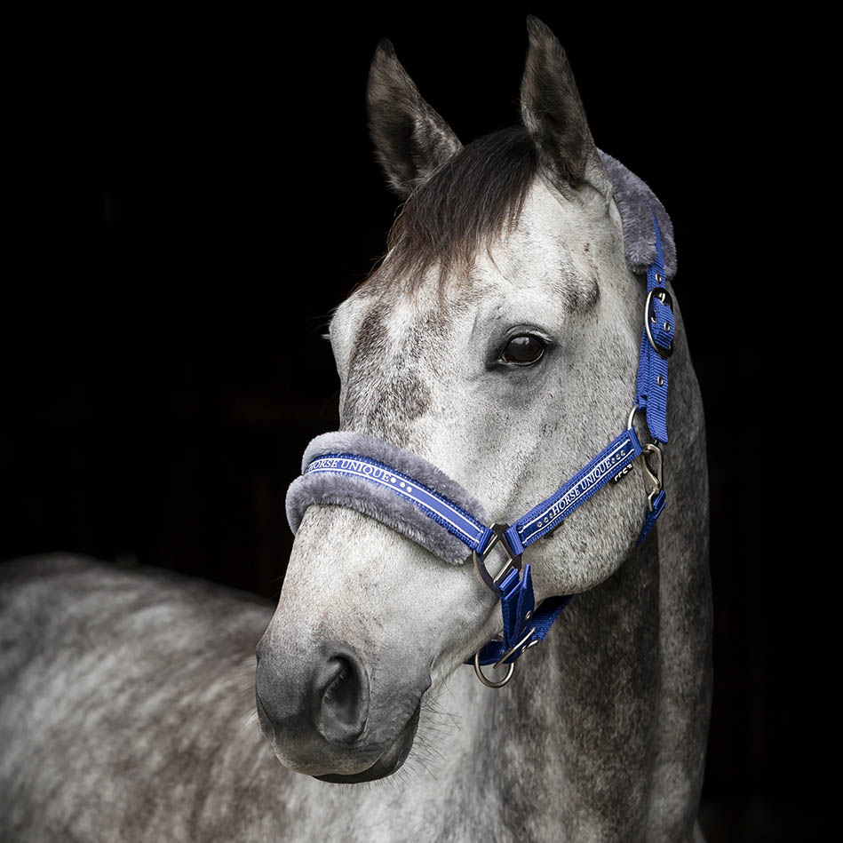 HORSE UNIQUE GRIMMA - 8