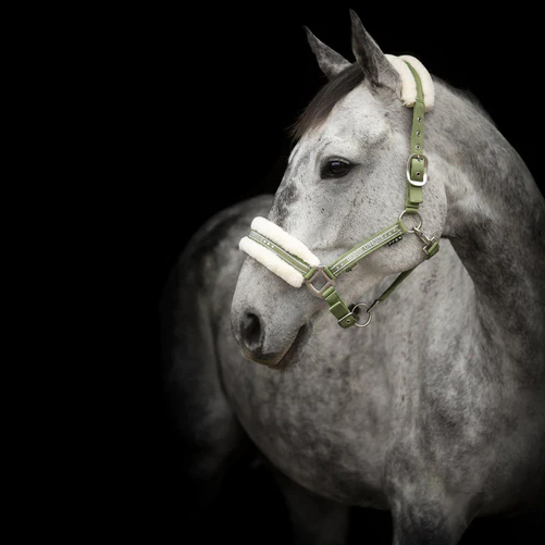 HORSE UNIQUE GRIMMA - 15