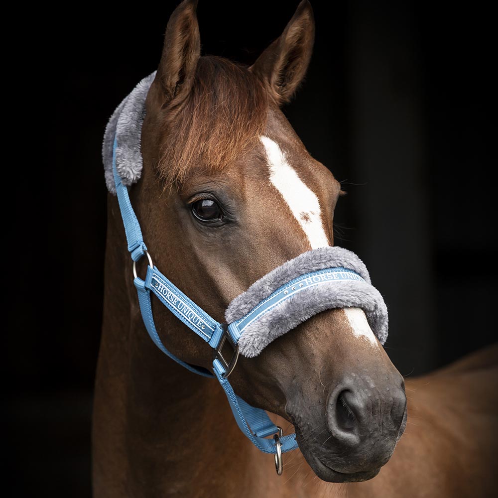 HORSE UNIQUE GRIMMA - 5