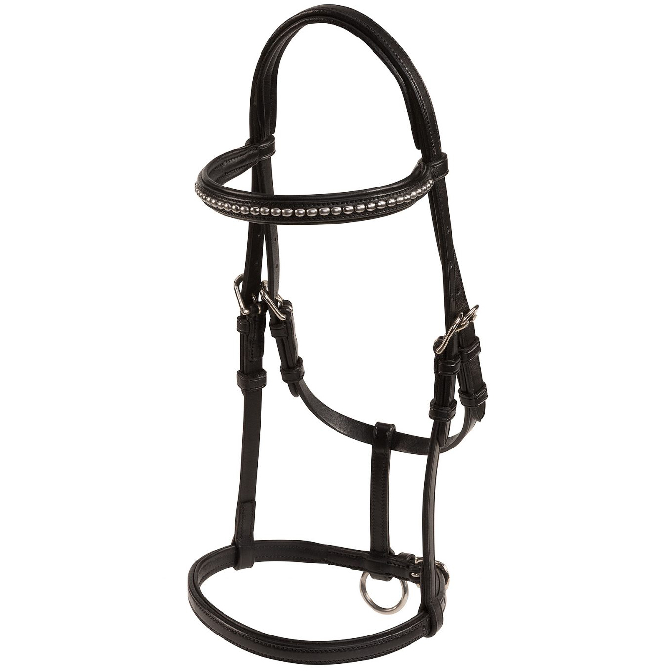 LIPPO SELECTED FOAL HEADCOLLAR SHOW - 3