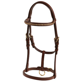 LIPPO SELECTED FOAL HEADCOLLAR SHOW