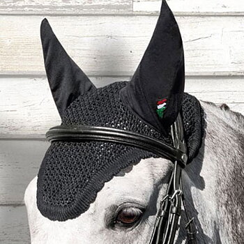 EQUILINE EARNET KIM