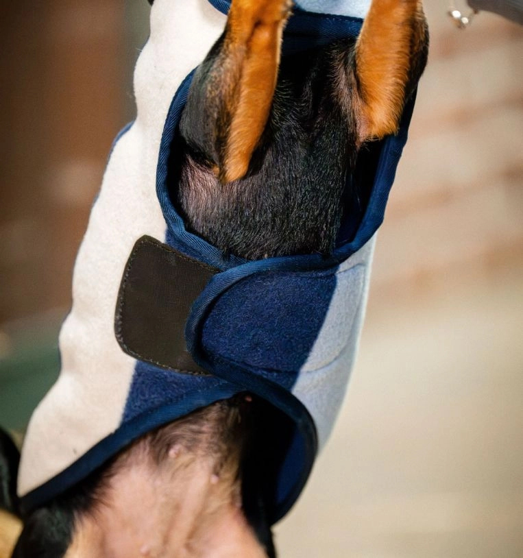 HORSEWARE SIGNATURE DOG FLEECE - 5