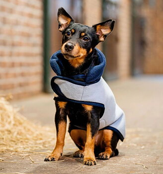 HORSEWARE SIGNATURE DOG FLEECE