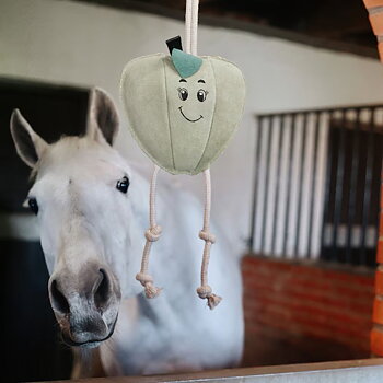 HORSE TOY APPLE