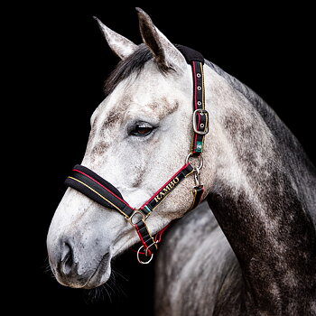 RAMBO PADDED HEADCOLLAR