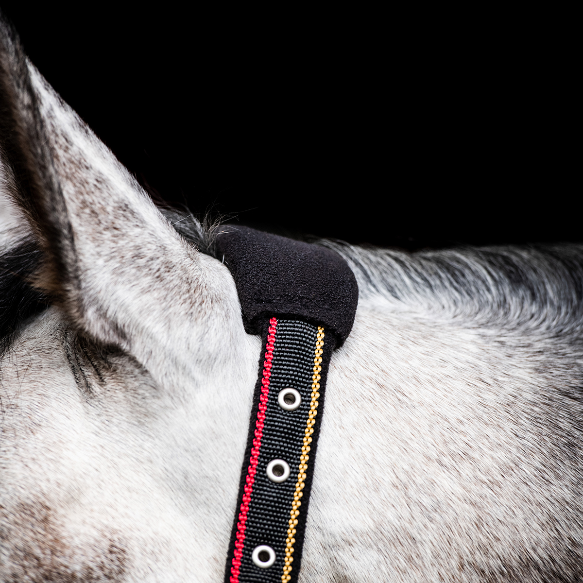 RAMBO PADDED HEADCOLLAR - 3