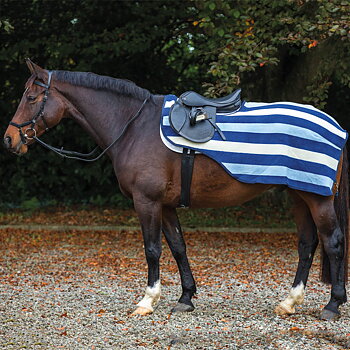 RAMBO DELUXE FLEECE COMPETITION SHEET NEWMARKET