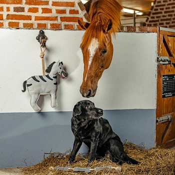 HORSE TOY ZEBRA