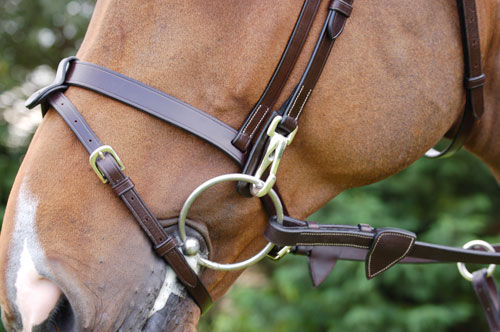 DYON WORKING BRIDLE SLÄT NOSGRIMMA MÄSSING - 3