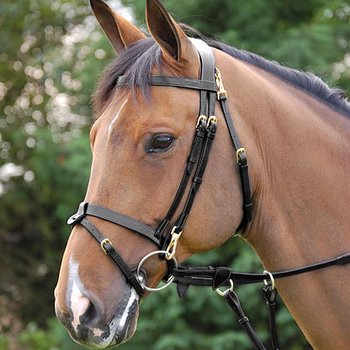 DYON WORKING BRIDLE SLÄT NOSGRIMMA BRASS