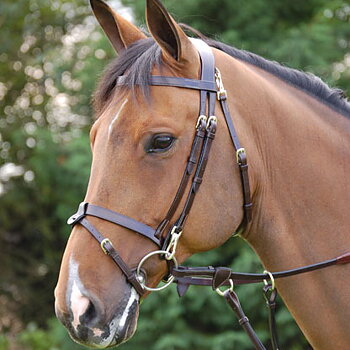 DYON WORKING BRIDLE SLÄT NOSGRIMMA BRASS