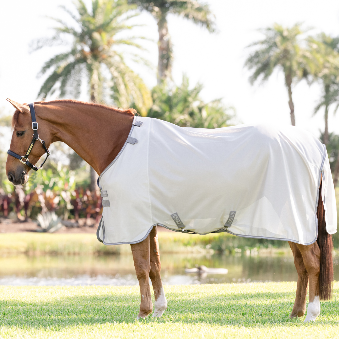 AMIGO BUG RUG