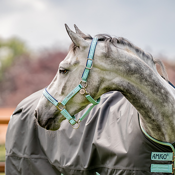 HORSEWARE SIGNATURE FIELDSAFE GRIMMA