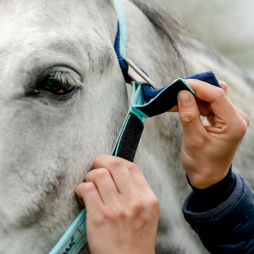 HORSEWARE SIGNATURE FIELDSAFE GRIMMA - 5